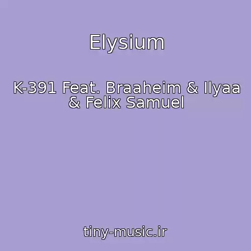 کاور آهنگ Elysium از K-391 Feat. Braaheim & Ilyaa & Felix Samuel