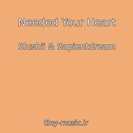 کاور آهنگ Needed Your Heart از Slushii & Sapientdream