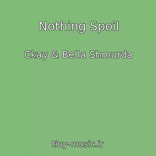 کاور آهنگ Nothing Spoil از Ckay & Bella Shmurda