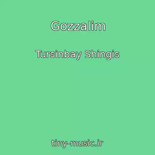 کاور آهنگ Gozzalim از Tursinbay Shingis