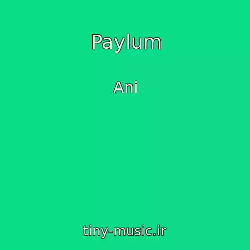 کاور آهنگ Paylum از Ani