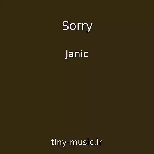 کاور آهنگ Sorry از Janic