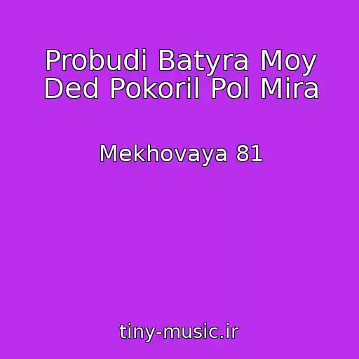 کاور آهنگ Probudi Batyra Moy Ded Pokoril Pol Mira از Mekhovaya 81