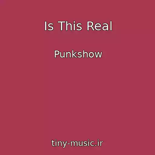 کاور آهنگ Is This Real از Punkshow
