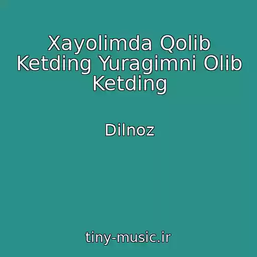 کاور آهنگ Xayolimda Qolib Ketding Yuragimni Olib Ketding از Dilnoz