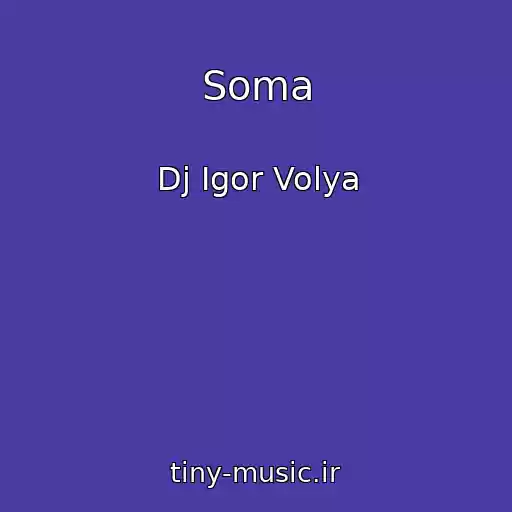 کاور آهنگ Soma از Dj Igor Volya