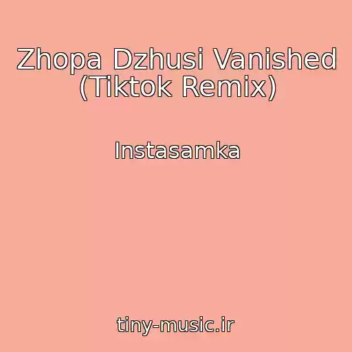 کاور آهنگ Zhopa Dzhusi Vanished (Tiktok Remix) از Instasamka
