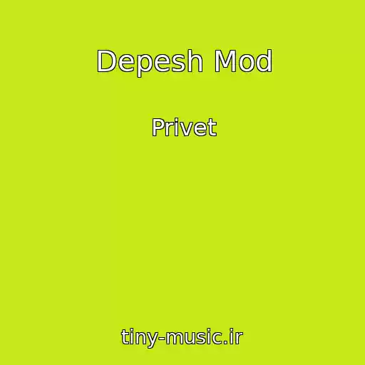کاور آهنگ Depesh Mod از Privet