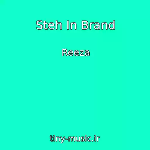 کاور آهنگ Steh In Brand از Reeza