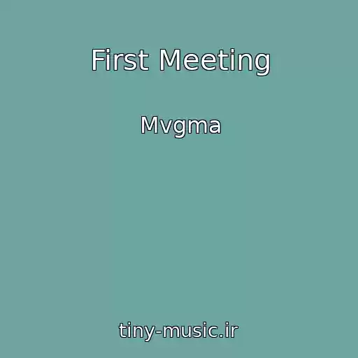 کاور آهنگ First Meeting از Mvgma