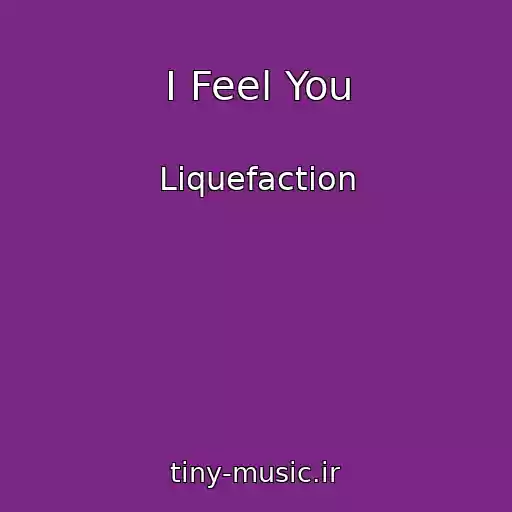 کاور آهنگ I Feel You از Liquefaction
