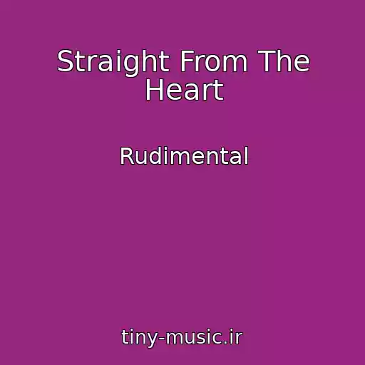 کاور آهنگ Straight From The Heart از Rudimental