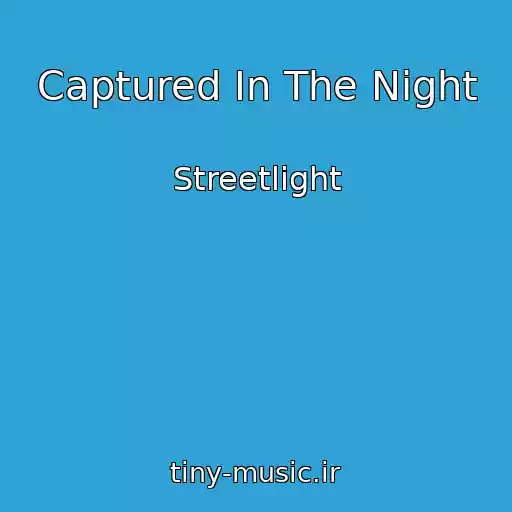 کاور آهنگ Captured In The Night از Streetlight