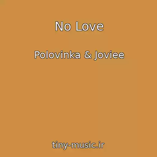 کاور آهنگ No Love از Polovinka & Joviee
