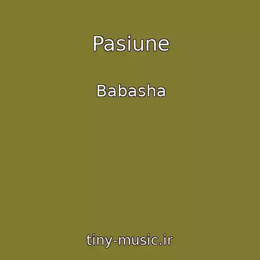 کاور آهنگ Pasiune از Babasha