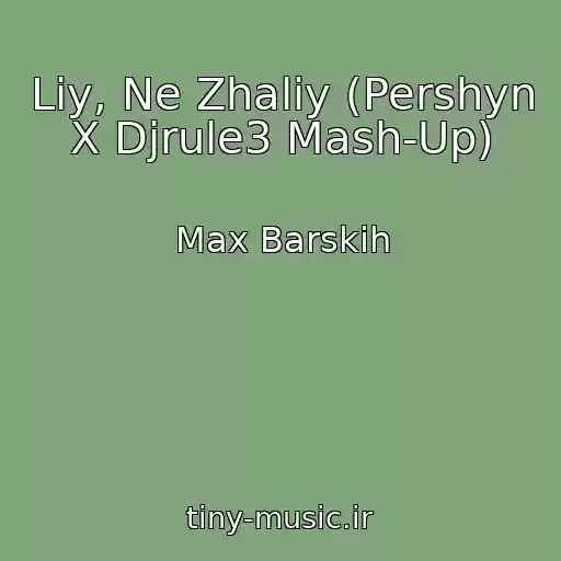 کاور آهنگ Liy, Ne Zhalіy (Pershyn X Djrule3 Mash-Up) از Max Barskih