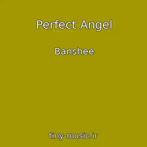 کاور آهنگ Perfect Angel از Banshee