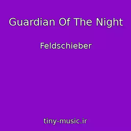کاور آهنگ Guardian Of The Night از Feldschieber