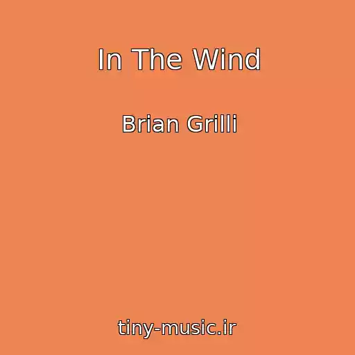 کاور آهنگ In The Wind از Brian Grilli