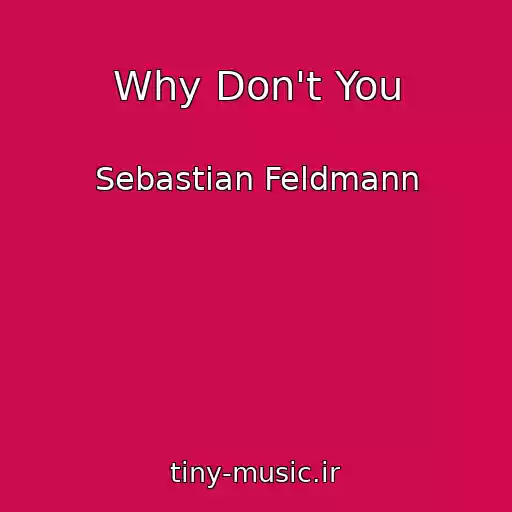 کاور آهنگ Why Don't You از Sebastian Feldmann