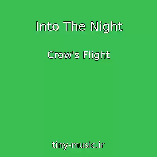 کاور آهنگ Into The Night از Crow's Flight