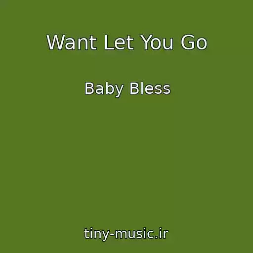 کاور آهنگ Want Let You Go از Baby Bless