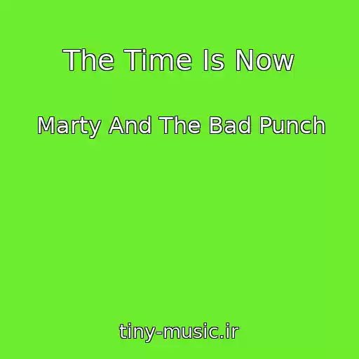 کاور آهنگ The Time Is Now از Marty And The Bad Punch