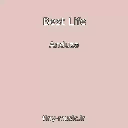 کاور آهنگ Best Life از Anduze