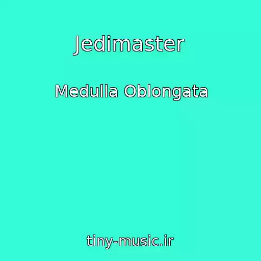 کاور آهنگ Jedimaster از Medulla Oblongata