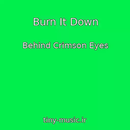 کاور آهنگ Burn It Down از Behind Crimson Eyes