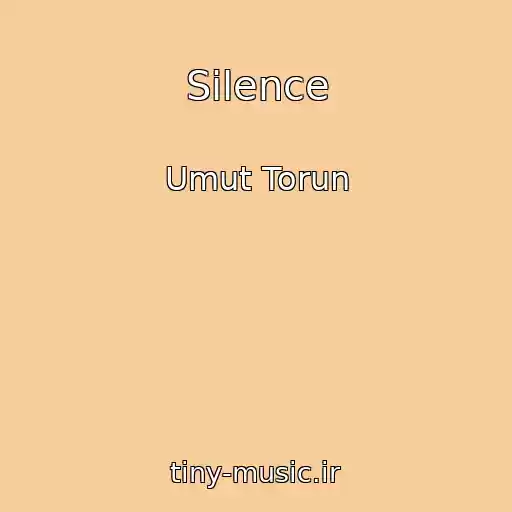 کاور آهنگ Silence از Umut Torun