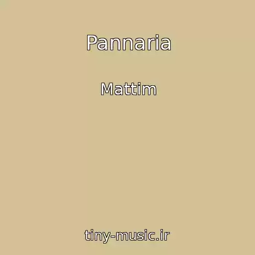 کاور آهنگ Pannaria از Mattim
