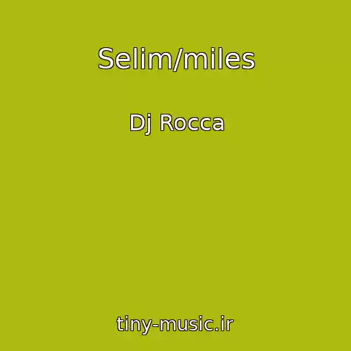 کاور آهنگ Selim/miles از Dj Rocca