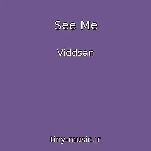 کاور آهنگ See Me از Viddsan