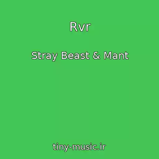 کاور آهنگ Rvr از Stray Beast & Mant