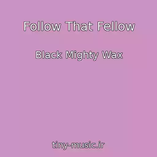 کاور آهنگ Follow That Fellow از Black Mighty Wax