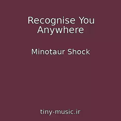 کاور آهنگ Recognise You Anywhere از Minotaur Shock