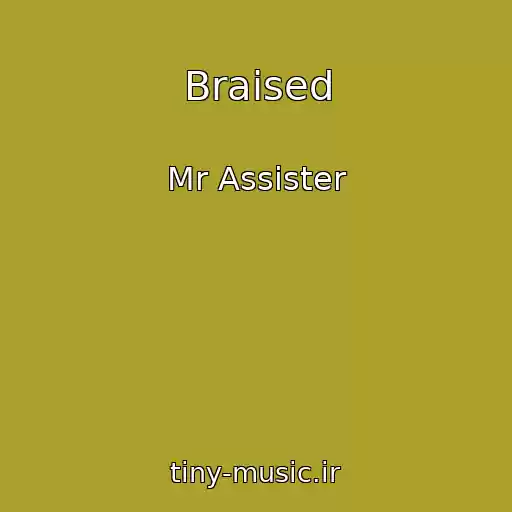 کاور آهنگ Braised از Mr Assister