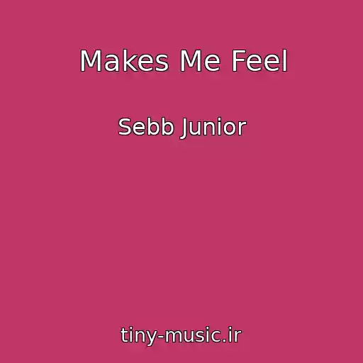 کاور آهنگ Makes Me Feel از Sebb Junior