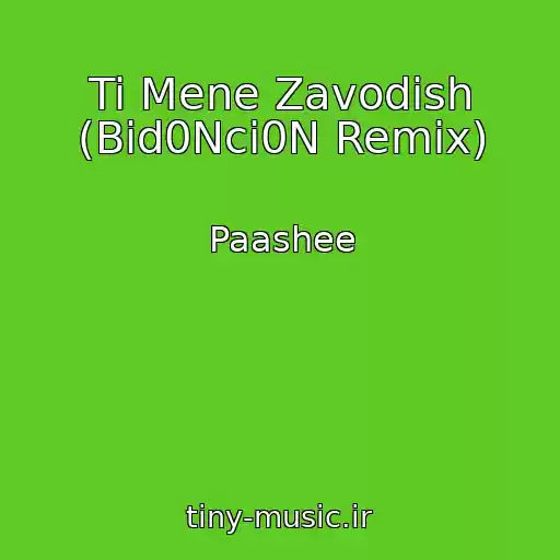 کاور آهنگ Ti Mene Zavodish (Bid0Nci0N Remix) از Paashee
