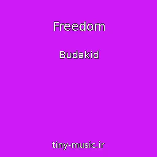 کاور آهنگ Freedom از Budakid