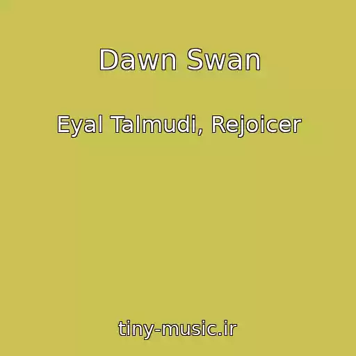 کاور آهنگ Dawn Swan از Eyal Talmudi, Rejoicer