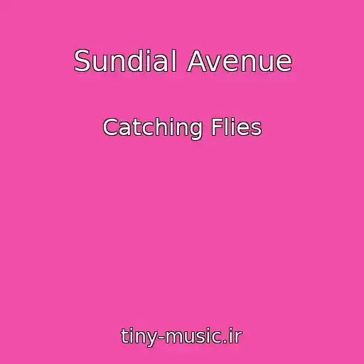 کاور آهنگ Sundial Avenue از Catching Flies