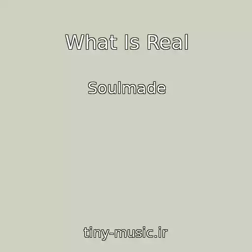 کاور آهنگ What Is Real از Soulmade