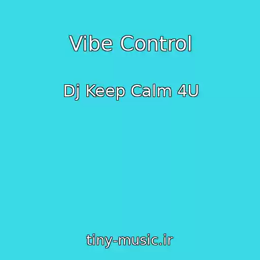 کاور آهنگ Vibe Control از Dj Keep Calm 4U