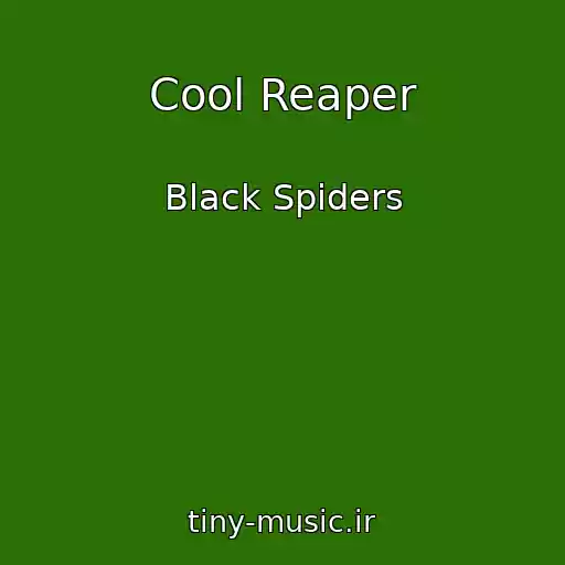 کاور آهنگ Cool Reaper از Black Spiders