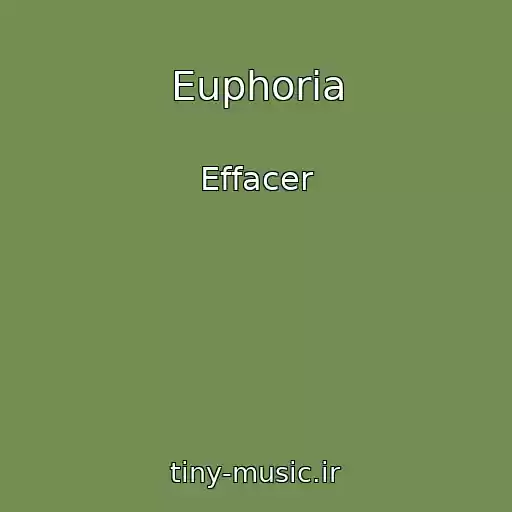 کاور آهنگ Euphoria از Effacer