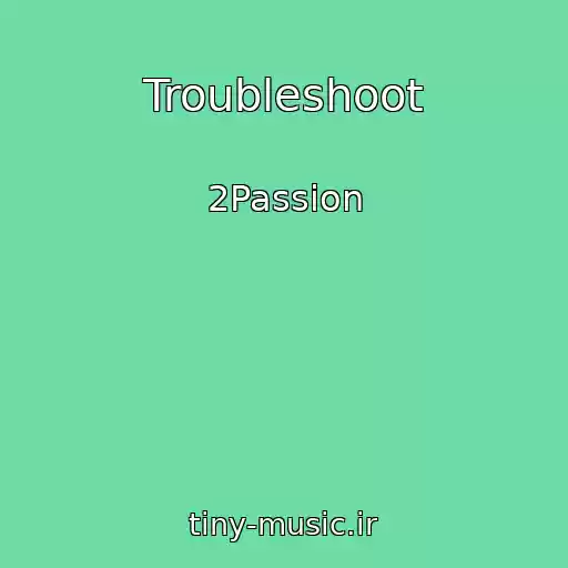 کاور آهنگ Troubleshoot از 2Passion