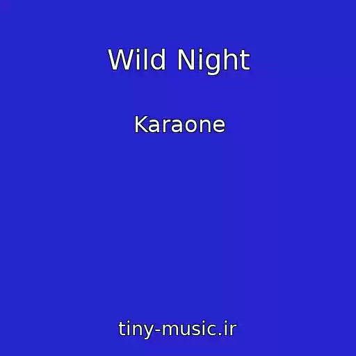 کاور آهنگ Wild Night از Karaone