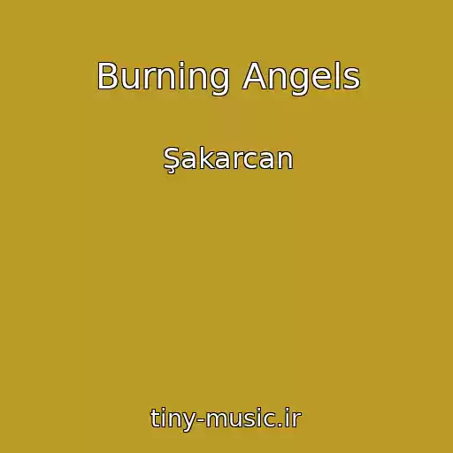 کاور آهنگ Burning Angels از Şakarcan
